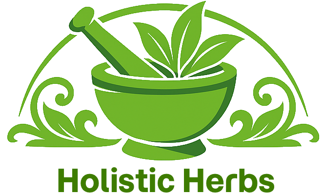 Echinacea Purpurea cut